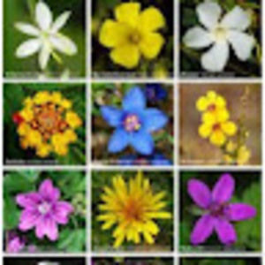 Meet your Posher, Atia